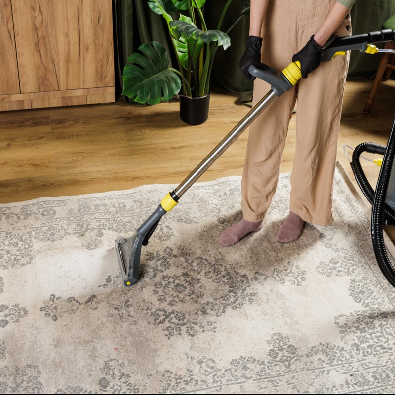 sofa cleaning machine